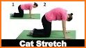 Cat Stretch related image
