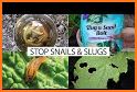 Slug Stop related image