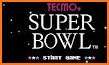 Tecmo Super Bowl CLASSIC Nes related image