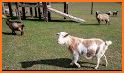Merge Farm : Animal Rescue related image