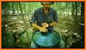 Handpan D Celtic Minor Real Handpan Sounds HQ related image