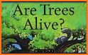 Alive Tree related image