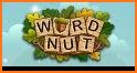 Word Nut related image