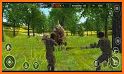 Wolf Hunter 2020: Offline Hunter Action Games 2020 related image