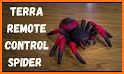 Spider Remote related image