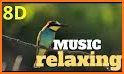 Bird Calls, Sounds & Ringtones for mind relaxation related image