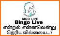 Bingo Star - Bingo Live related image