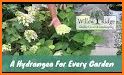 Net Check In - Petitti Garden Centers related image