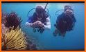 PADI - Scuba Diving Essentials related image