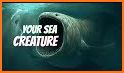 Which sea creature are you? Test related image