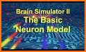Brain Simulator related image