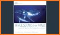 Whale: Sleep and lullaby related image