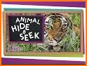 Animal Hide and Seek Kids Game related image
