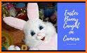 Happy Easter Bunny Camera related image