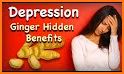 Ginger Emotional Support related image