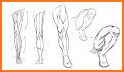 Draw Leg related image