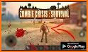 Zombie Crisis: Survival related image