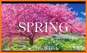 Garden Wallpaper 4K related image