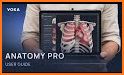 Anatomy Pro related image