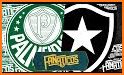 Palmeiras Fanático related image