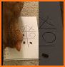 tic tac toe - dog and cat related image