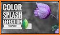 Color Splash Camera Effect related image