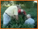 Midwest Cover Crops Field Scout related image