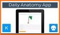 Daily Anatomy: Flashcard Quizzes to Learn Anatomy related image