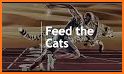Feed The Cat related image
