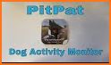 PitPat related image