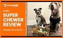 BARK - BarkBox, Super Chewer & Bright related image