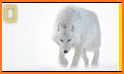 Wolves of the Arctic related image