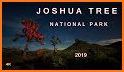 Joshua Tree National Park related image