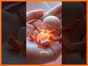 PregVeda - My Pregnancy Guide related image