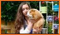 My Guinea Pigs related image