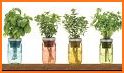 HEALTHY HERBS - Herb Guide App for free related image