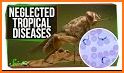 Tropical Diseases related image