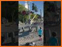 Kids Train Games -Animal Train related image