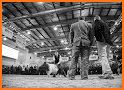 Oklahoma Youth Expo 2019 related image