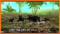 Black Panther Sim Game- Wild Animal Simulator 2021 related image