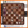 Chiron 4 Chess Engine related image