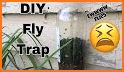 DIY Fly Trap related image