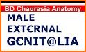 Penis Anatomy Encyclopedia related image