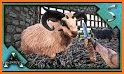 Sheep Battle: Farm Survival related image
