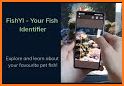 Fish Identifier related image