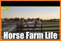 Horse Farm related image