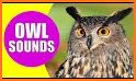North Line OWL related image