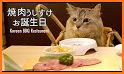 KBBQ Cat related image