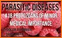 All Medical Parasites (Diseases & Management) related image