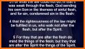Bible - Read faith comes by hearing kjv related image
